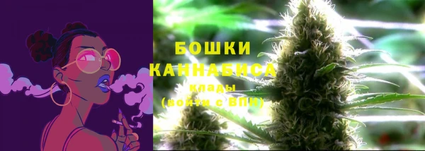ПСИЛОЦИБИНОВЫЕ ГРИБЫ Арсеньев