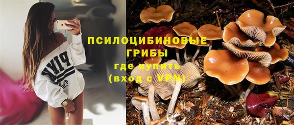 гашиш Аркадак