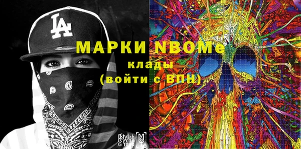 ПСИЛОЦИБИНОВЫЕ ГРИБЫ Арсеньев