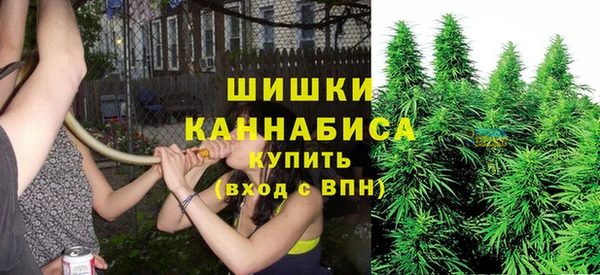 стафф Баксан