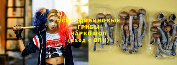 ПСИЛОЦИБИНОВЫЕ ГРИБЫ Арсеньев