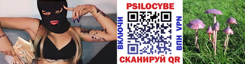 Псилоцибиновые грибы MAGIC MUSHROOMS  Людиново 